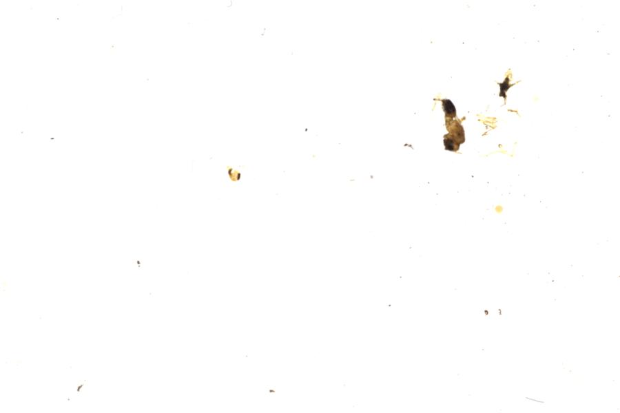 Image 57